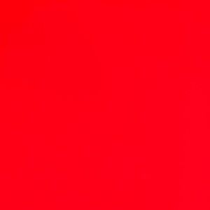 Meet your Posher, Lily